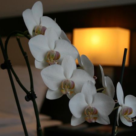 Best Western Hotel Jena Ngoại thất bức ảnh